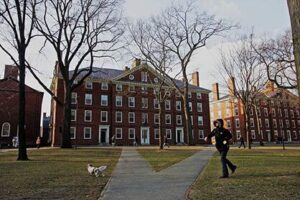 A person walking their dog in front of an old building.