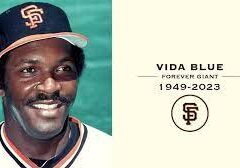 Vida Blue remembrance post on a white background